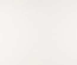 Arctic White™
